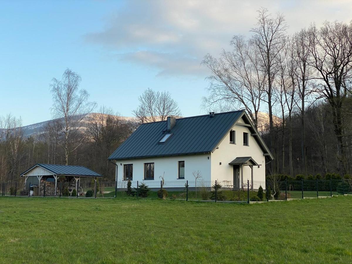 Cicha Ostoja Villa Miłków Dış mekan fotoğraf